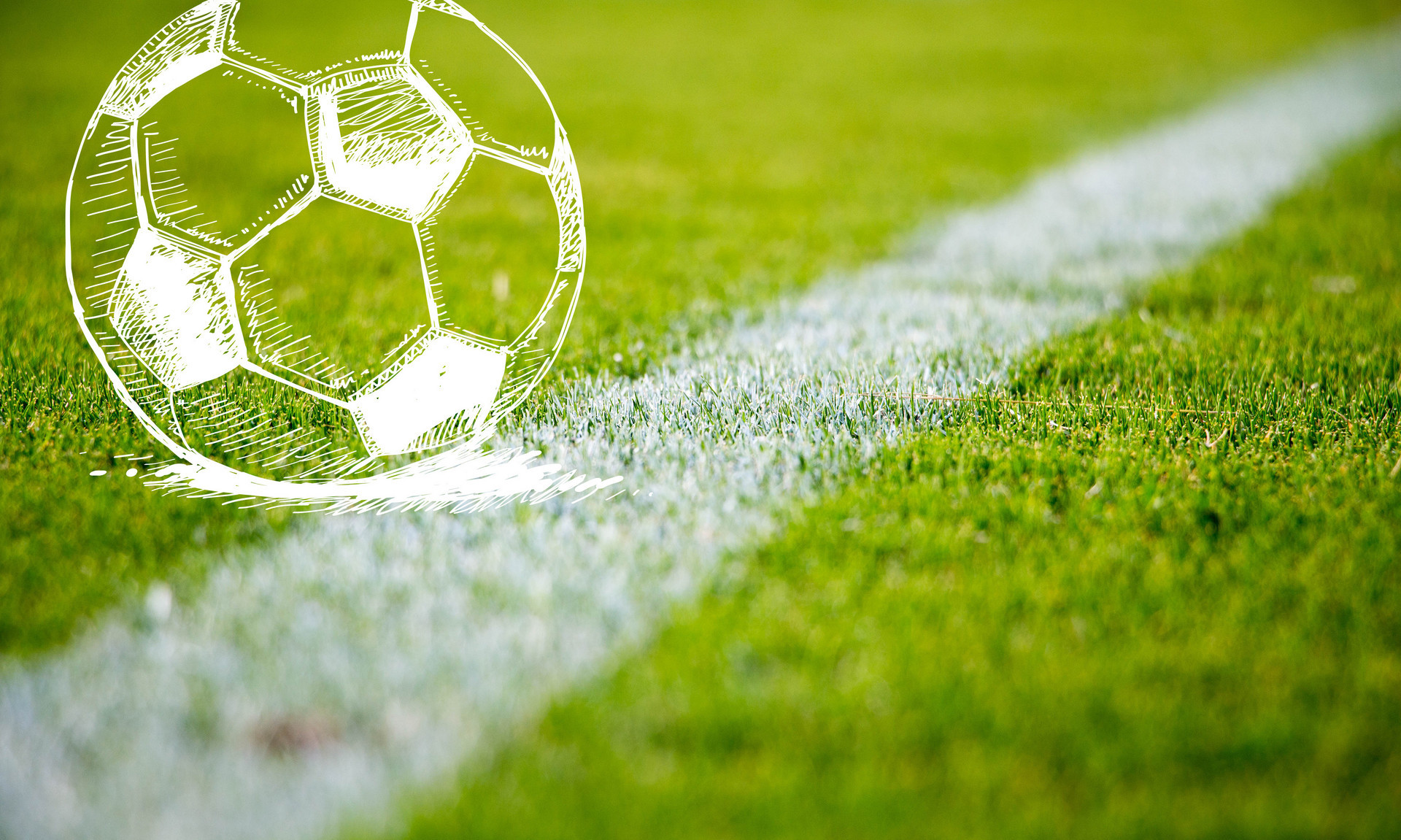 可以看到巴 可以看到巴