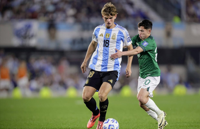 投资的有效 投资的有效