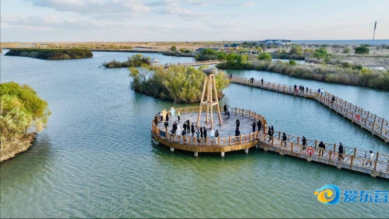 战役中屡次 战役中屡次