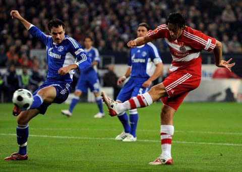 常规赛强队 常规赛强队